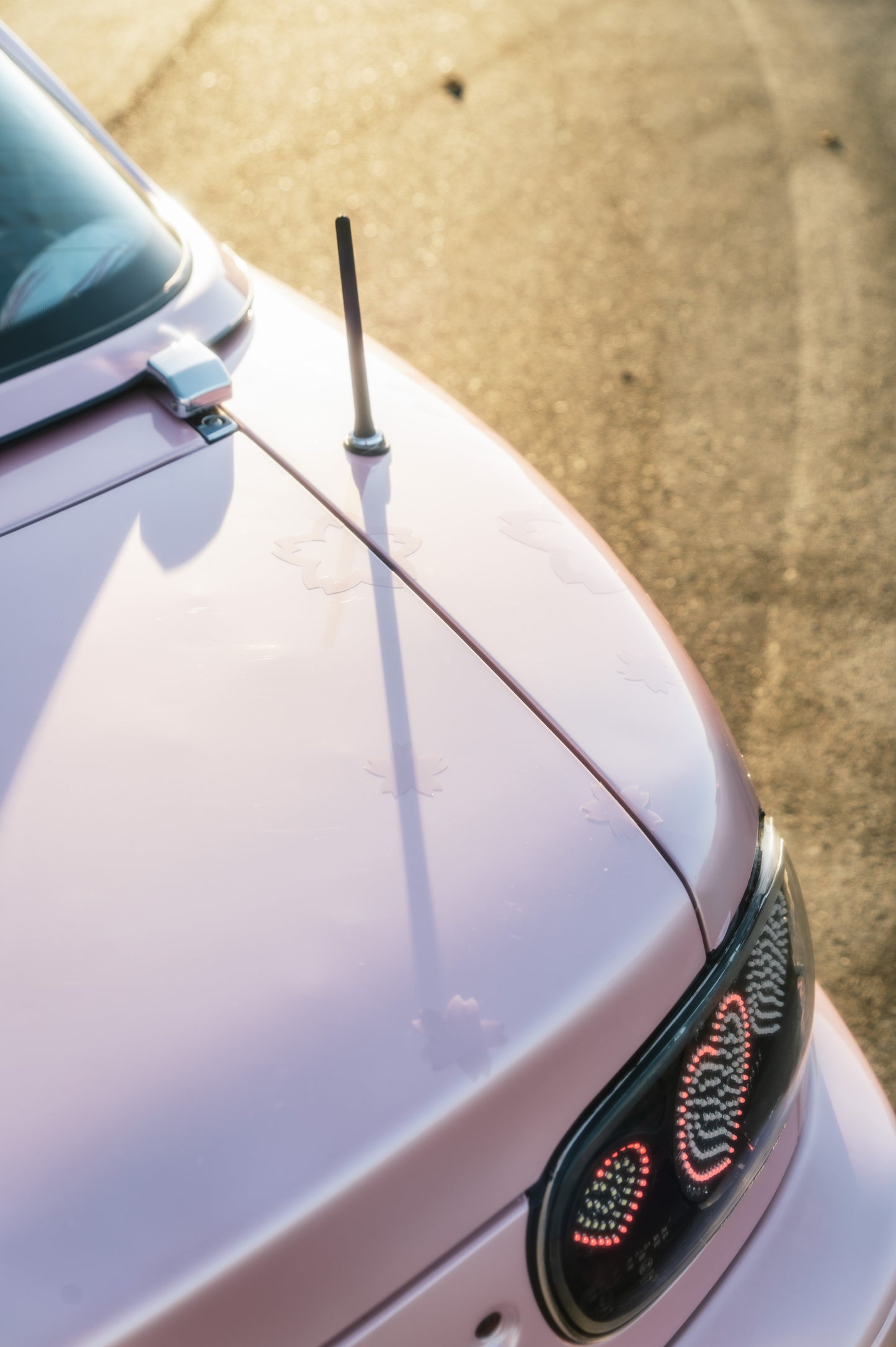 SAKURA RUSH LIVERY KIT