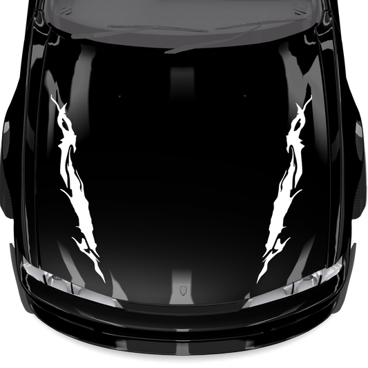 HEX HOOD DECALS