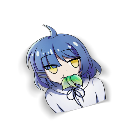 BAND HOLOGRAPHIC DECAL BUNDLE